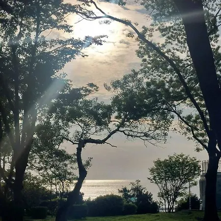 Deni's By The Sea - Daire *